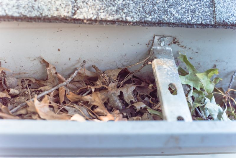 Debris Removal from Gutters